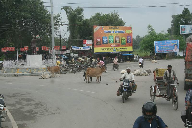 India & Nepal 2011 - 0689